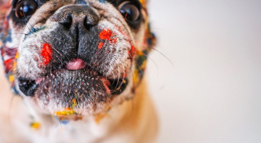 Header onbegrepen gedrag