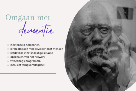 Kleine plaatjes in de website-2