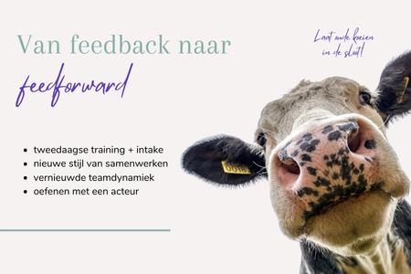 feedforward